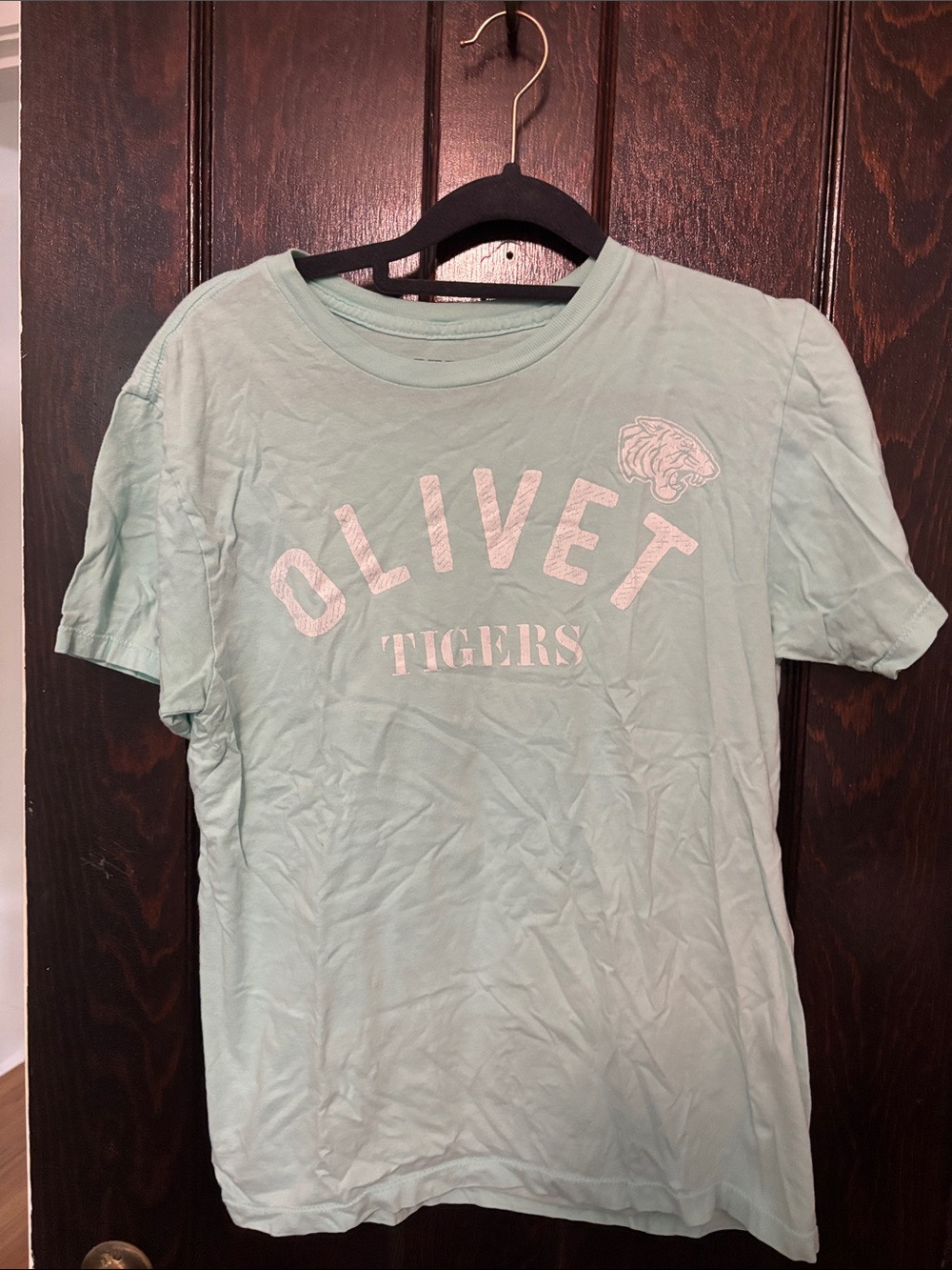 MV Sport Olivet Tigers Short Sleeve Tee in Light Mint